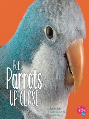 cover image of Pet Parrots Up Close